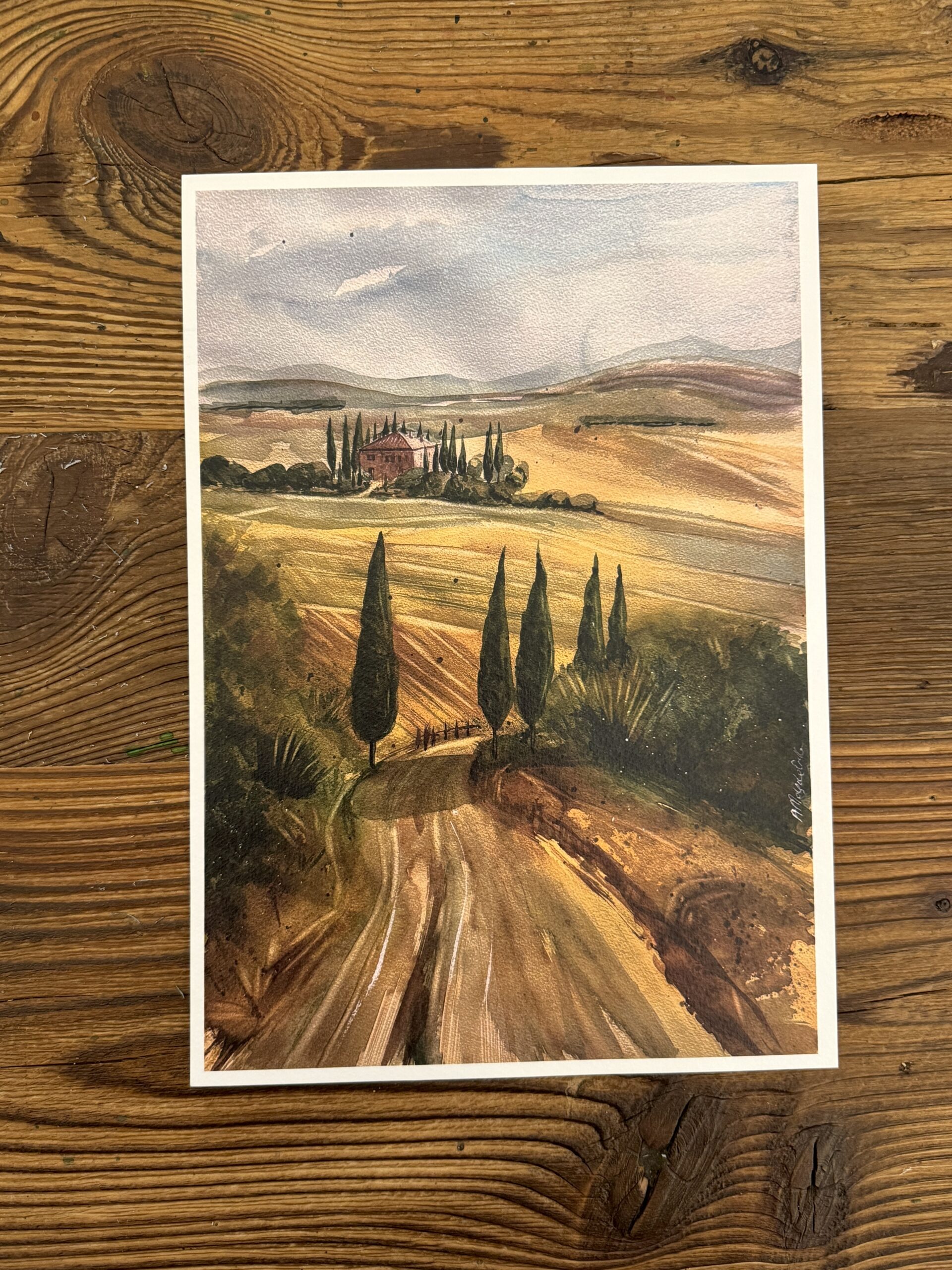 Toskanska droga obraz akwarelowy