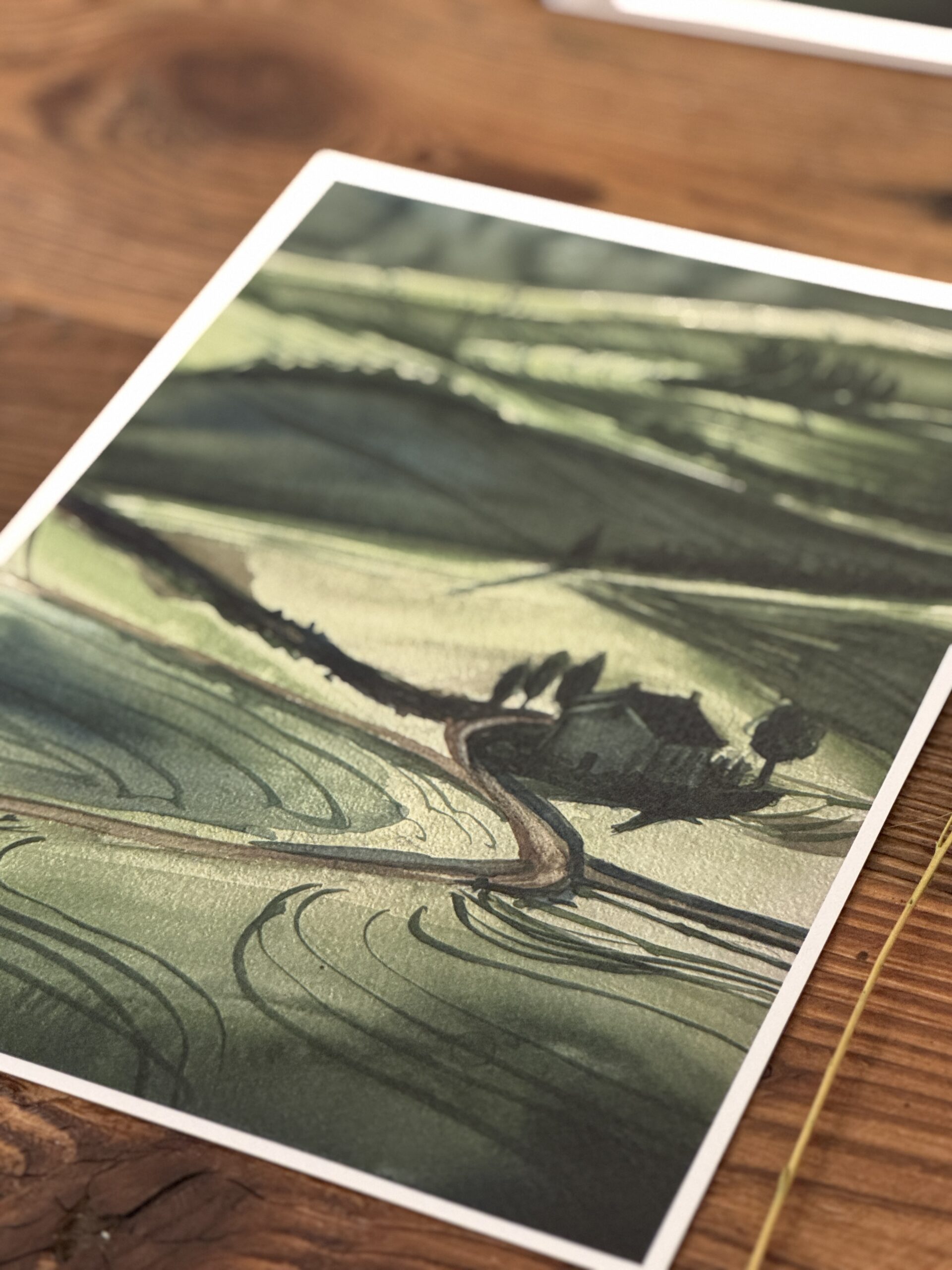 Toskanskie światło obraz akwarelowy